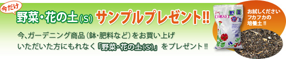 フラワーガーデン E ショップ ガーデニング用品 プリザーブドフラワー フラワーギフト通販