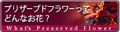 プリザーブドフラワーってどんなお花? プリザーブドフラワーってどんなお花?