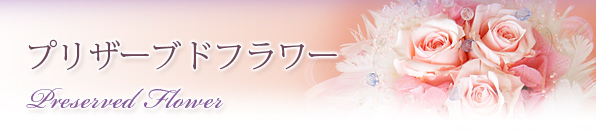 プリザーブドフラワー プリザーブドフラワー